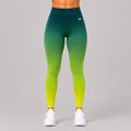 Leggins Realce | Alesportt